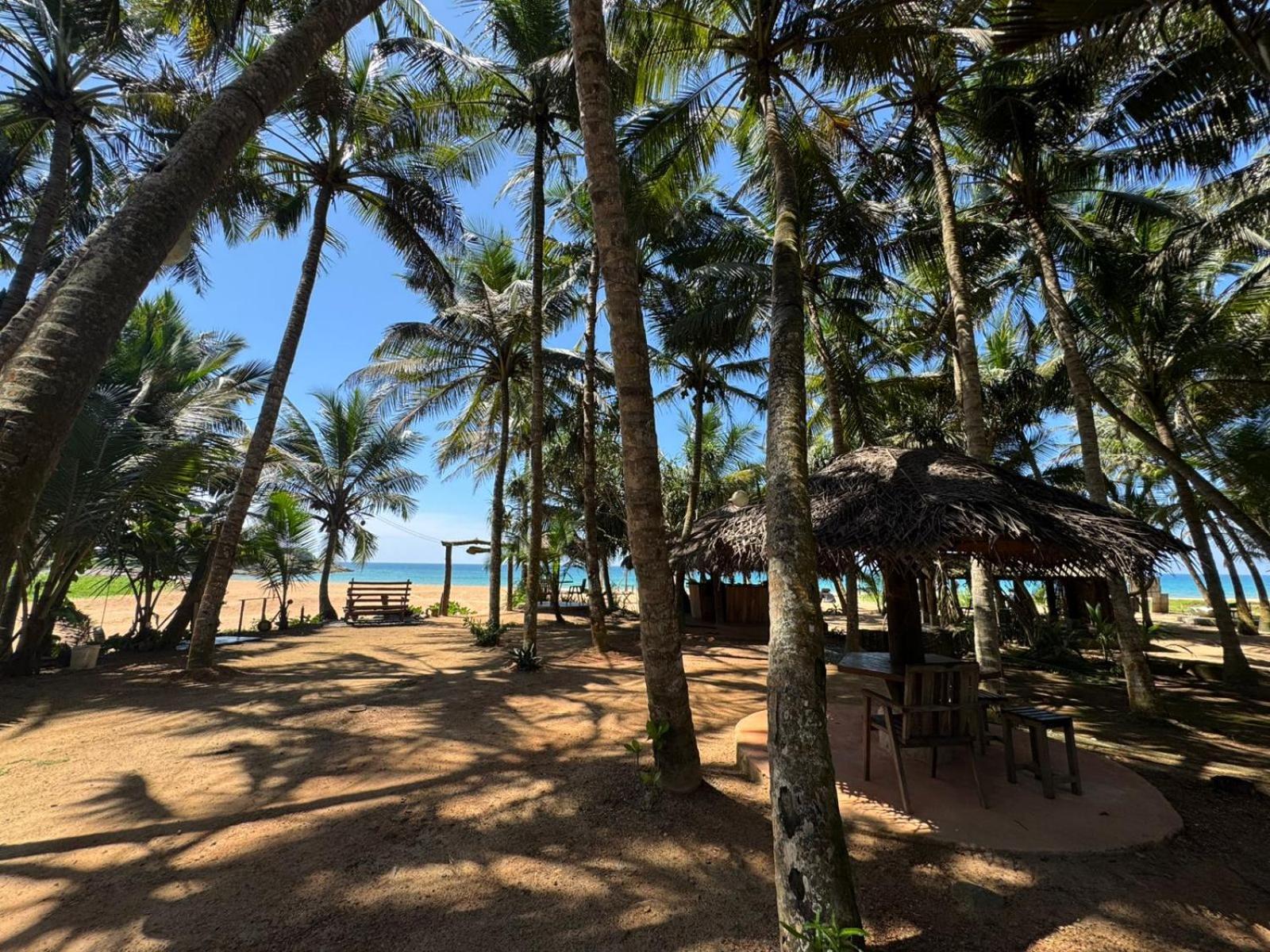 Hotel Coconut Bar Bentota Esterno foto
